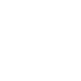 year-shape