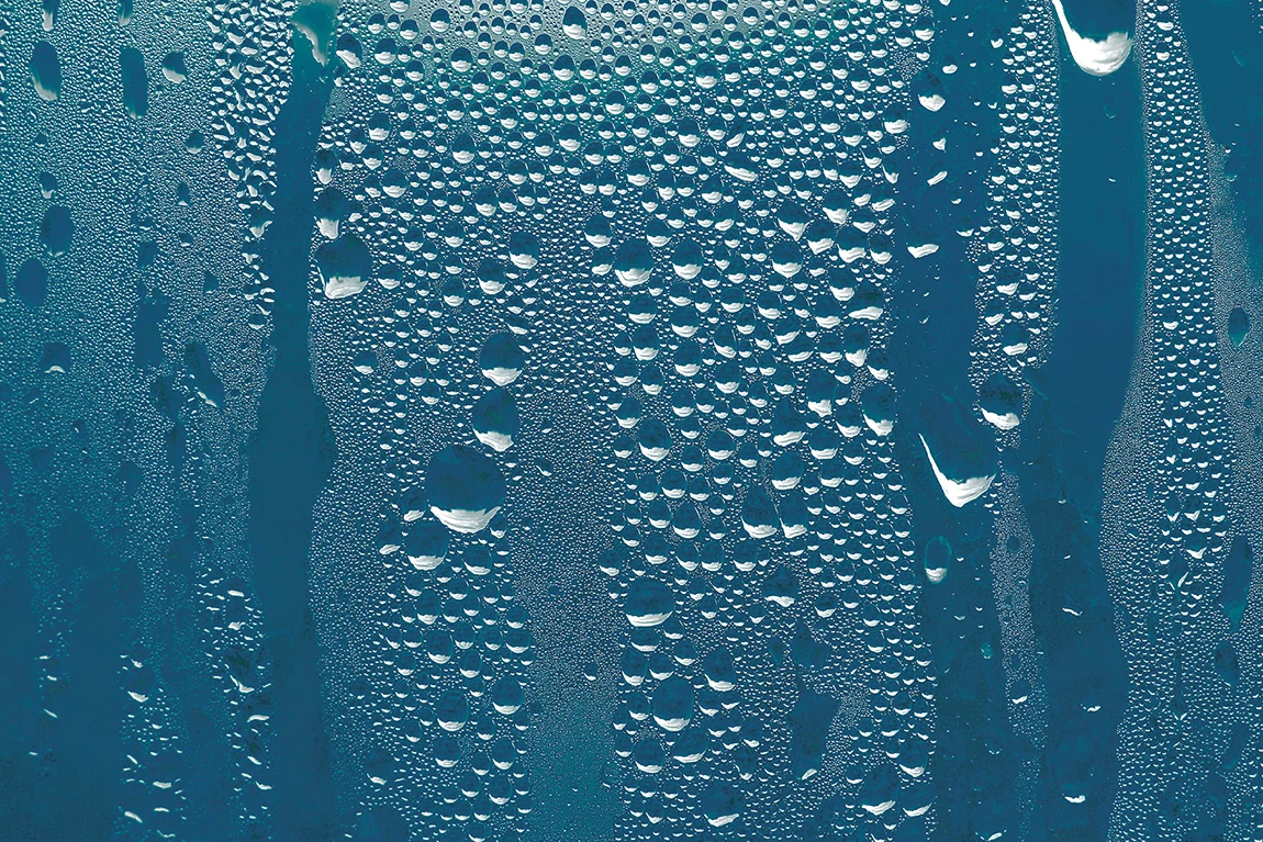 1287 D