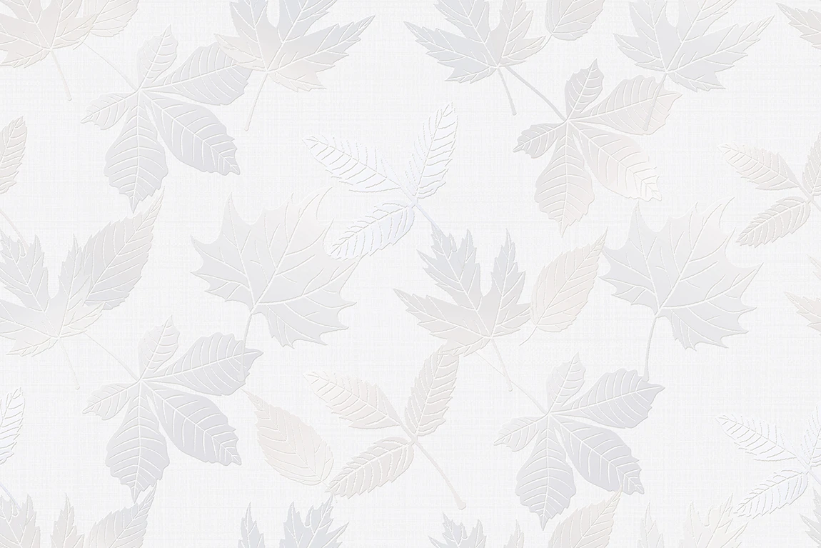 30055 L